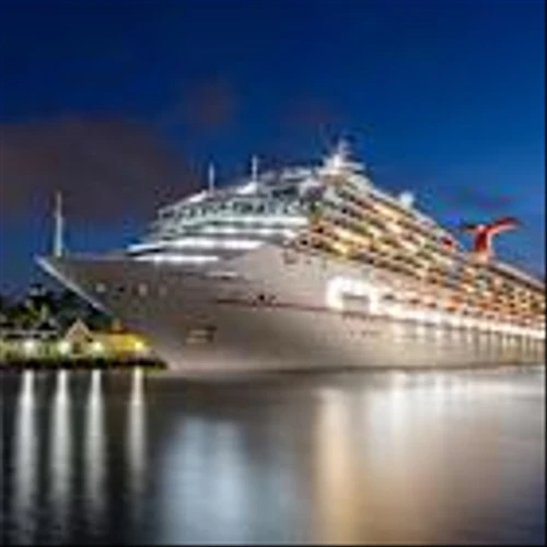 How Is Carnival Corporation's Stock Performance Compared to Other Travel Services Stocks?