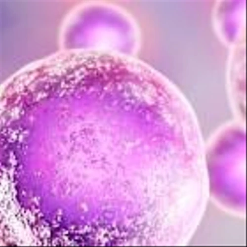Lisata Therapeutics Partners with Catalent on ADC Technology