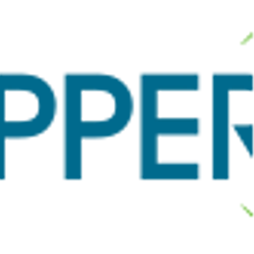 Koppers Holdings Inc (KOP) Q3 2025 Earnings Call Highlights: Navigating Challenges with ...