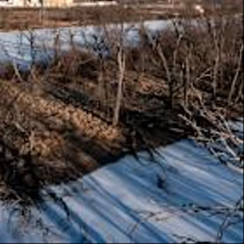 A Dormant Nuclear Plant in Iowa Is Poised to Power Google’s Energy Needs