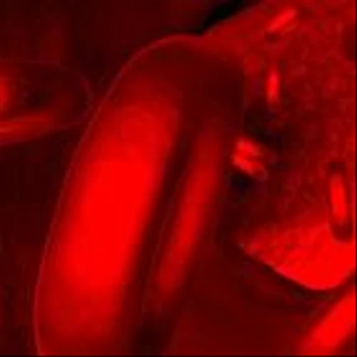 Cancer Study Buoys These Small Biotechs