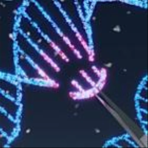 Sarepta and Roche halt DMD gene therapy’s use after second death