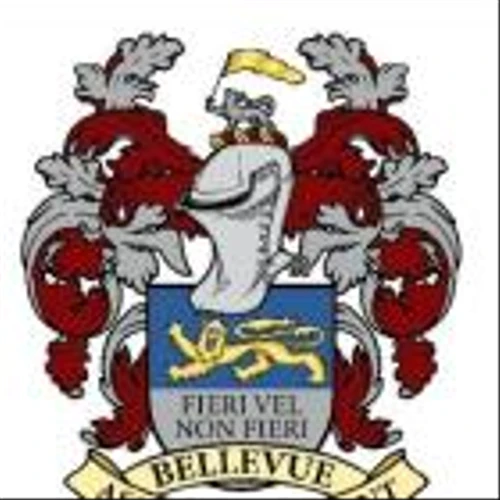 BELLEVUE CAPITAL PARTNERS, LLC ANNOUNCES FINAL RESULTS OF TENDER OFFER FOR SHARES OF AMERICAN STRATEGIC INVESTMENT CORP.