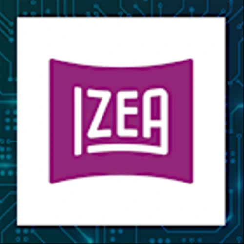 Izea Worldwide Q4 Earnings Call Highlights