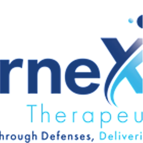 Ernexa Therapeutics Presents New Preclinical Data at American Society of Hematology (ASH) Annual Meeting on Lead Cell Therapy Candidate for Treatment of Ovarian Cancer
