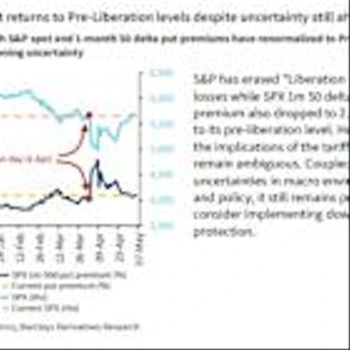 Traders Eye Longer-Term Options to Hedge Post-Tariff Shock Rally