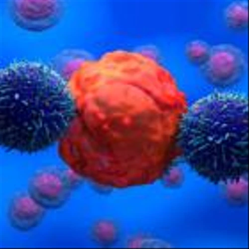 Cargo shelves cell therapy research, lays off more staff