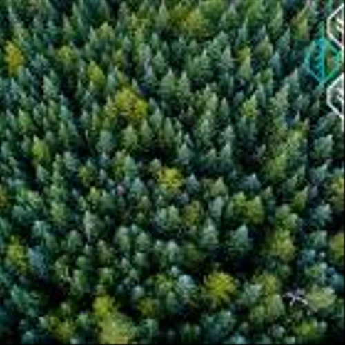 Ashland celebrates solvers, recognizes 100 years of innovation by planting trees to restore local ecosystems and support sustainable sourcing