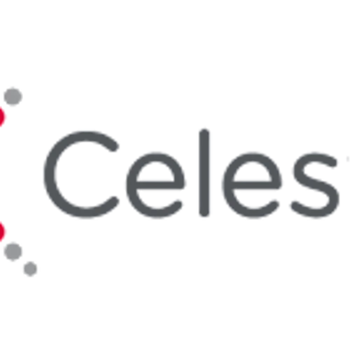 Celestica Announces Chair Succession and Appointment of New Director