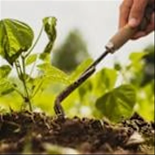 3 AgTech & Food Innovation Stocks With Long-Term Growth Exposure