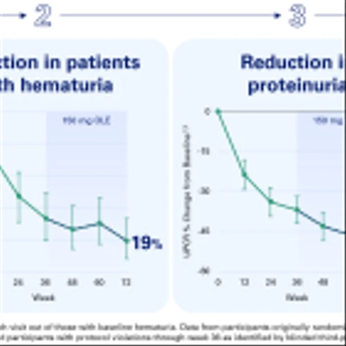 Vera Therapeutics Presents Positive 72-Week Data Showing eGFR Stabilization in the Phase 2b ORIGIN Clinical Trial OLE in IgA Nephropathy