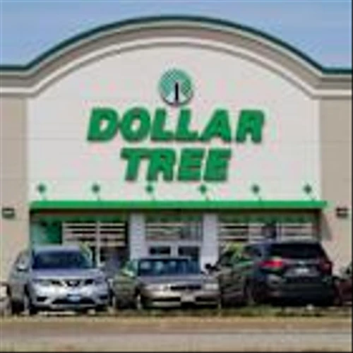 Is Dollar-Tree Stock a Recession-Proof Winner or a Ticking Time Bomb?