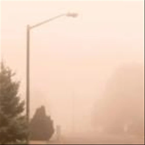 Wildfires in NJ? How We're Keeping Our Communities Safe and Our Energy Systems Reliable at PSEG