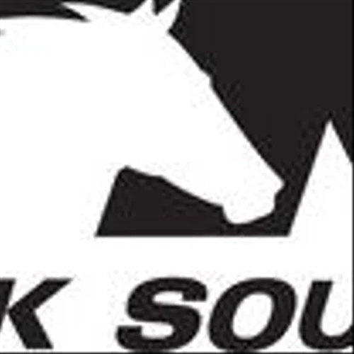 Norfolk Southern to present at 2025 Wells Fargo Industrials and Materials Conference