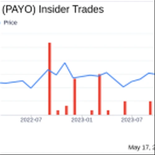 Director Avi Zeevi Sells 26,264 Shares of Payoneer Global Inc (PAYO)