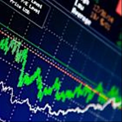 Why investing in stocks that have 'financial freedom' is crucial