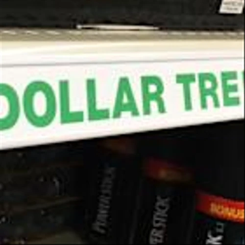 Dollar Tree outdoes Q2 estimates, disappoints on guidance