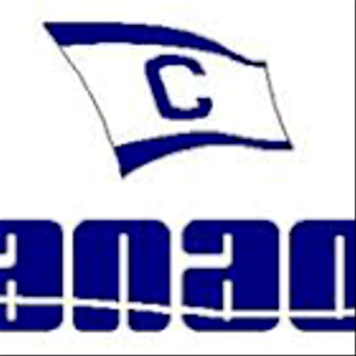 Danaos Corp (DAC) Q1 2025 Earnings Call Highlights: Navigating Market Challenges with Strategic ...