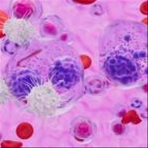 ASH 2024: Arcellx publishes positive results for Anito-cel in multiple myeloma