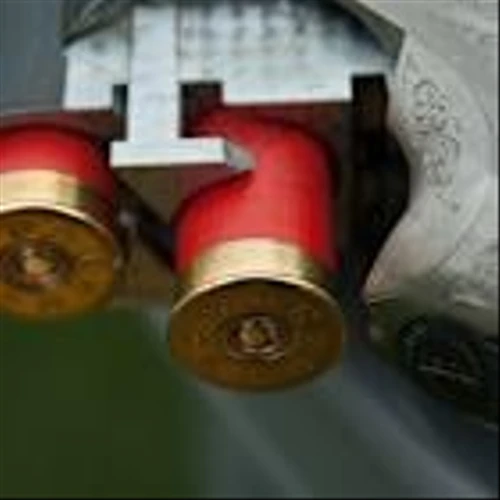 Byrna Technologies Inc. (BYRN): A Bull Case Theory