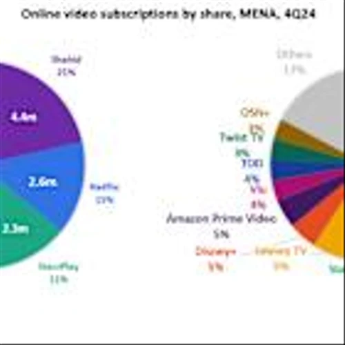 Omdia: SVOD Growth to Drive MENA Streaming Market Past $1.5 Billion in 2025