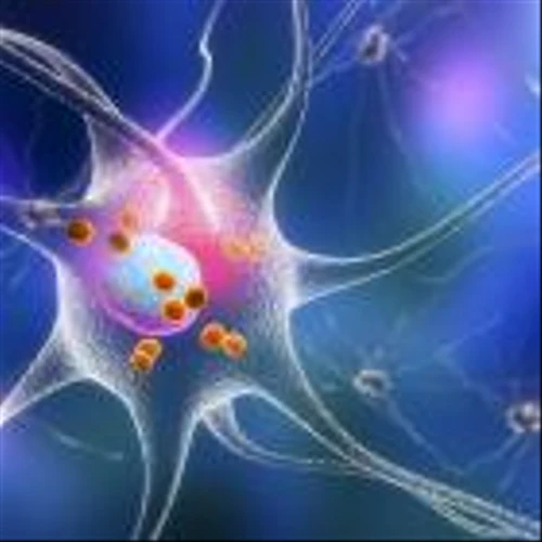 Genetic testing in Parkinson’s disease patients: a standard of care imperative?