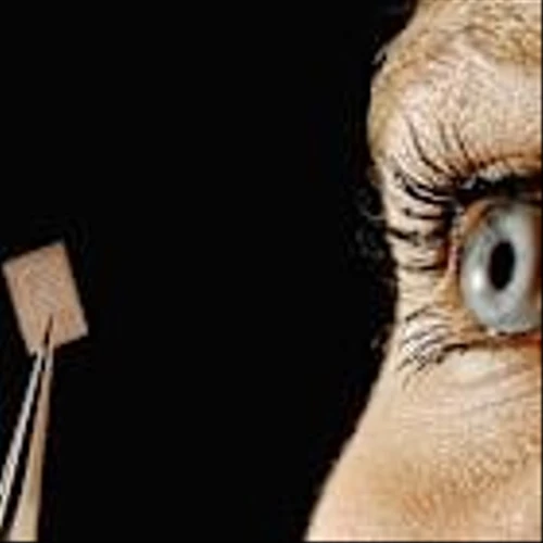 RBC Capital Raises PT and Maintians a Buy on Qnity Electronics (Q)