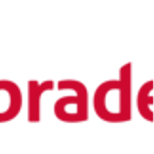 Bank Bradesco SA (BBD) Q4 2024 Earnings Call Highlights: Strong Net Income Growth and Digital ...