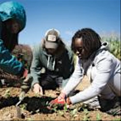 Natural Grocers® and Rodale Institute Celebrate Earth Month with Annual Ladybug Love Campaign, April 1-30, 2025