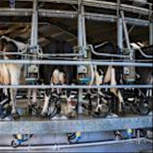 Synlait Milk agrees North Island asset sale to Abbott Laboratories