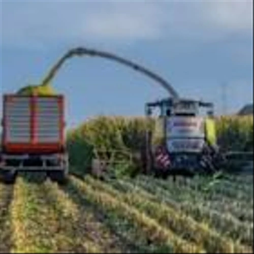 American Rare Earths partners with University of Wyoming