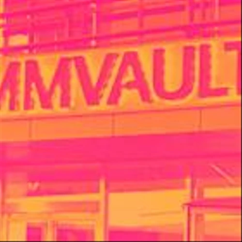 Q1 Earnings Review: Data Storage Stocks Led by Commvault Systems (NASDAQ:CVLT)