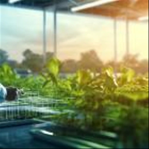 Is Bioceres Crop Solutions (BIOX) The Best Agriculture Stock To Buy Right Now?