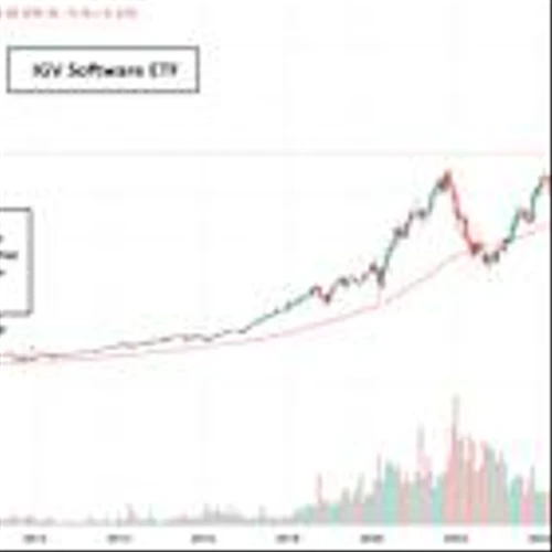 Software Stocks: From Market Leaders to AI Victims