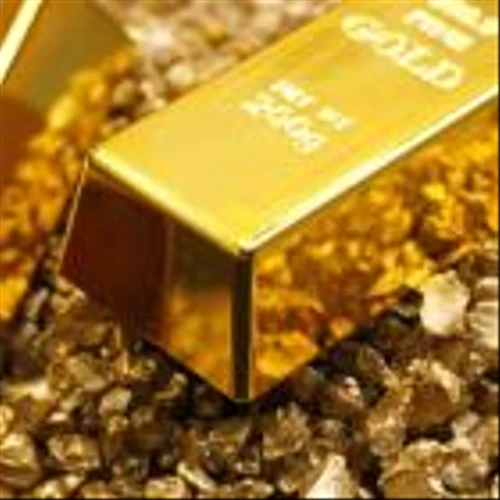 New Found Gold Insider Ups Holding During Year