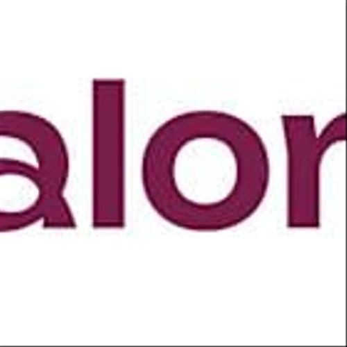 Palona AI Appoints Alison Templin as Vice President of Sales to Accelerate Enterprise Growth