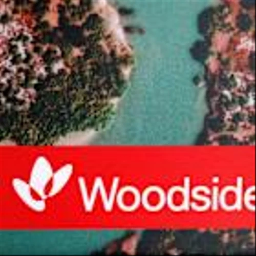 S&P cuts Woodside's credit outlook to 'negative' after LNG investment decision