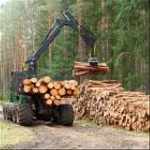 Rayonier Stock Rises 9.6% in a Month: Will the Trend Continue?