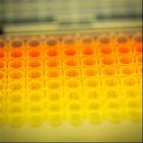 Halozyme to Fund Proposed Evotec Takeover in Cash, CEO Says