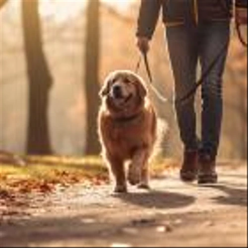 Wag! Group Co. (NASDAQ:PET) Q1 2024 Earnings Call Transcript