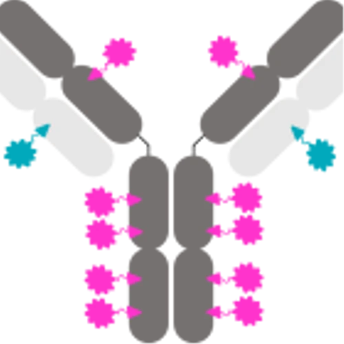 Sutro Biopharma Highlights Next-Generation ADC Innovation and Near-term Pipeline at Research Forum