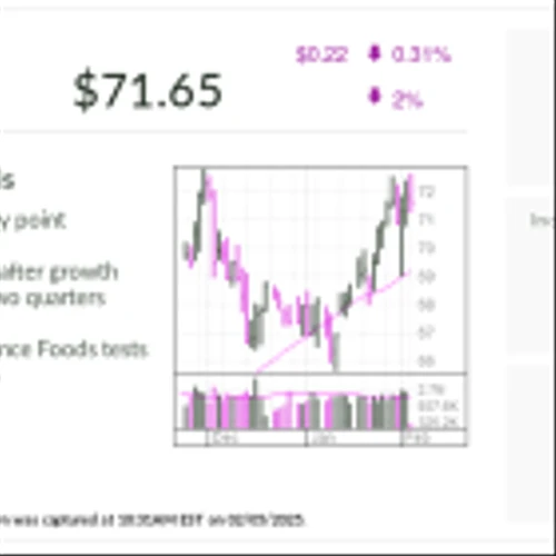 IBD Stock Of The Day Nears Buy Point After 50% Run In 2024. Why There's More Upside.