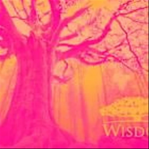 WisdomTree (WT) Stock Trades Down, Here Is Why