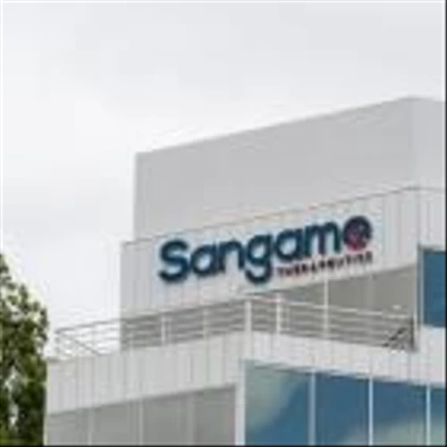 Sangamo Therapeutics Stock Slumps After Pfizer Terminates Hemophilia A Gene Therapy Partnership
