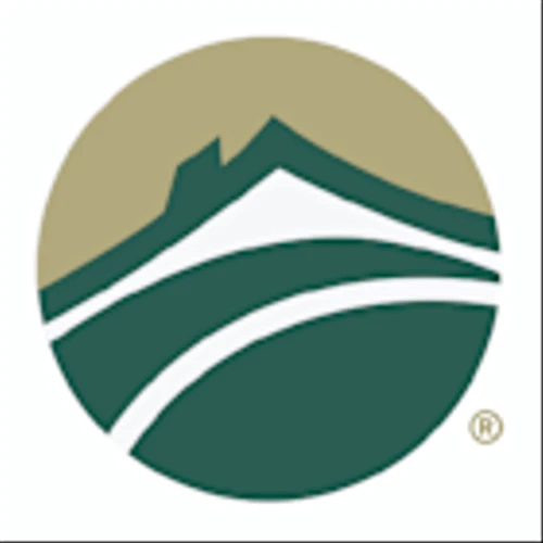 Anywhere Real Estate Inc (HOUS) Q1 2025 Earnings Call Highlights: Strong Revenue Growth Amid ...