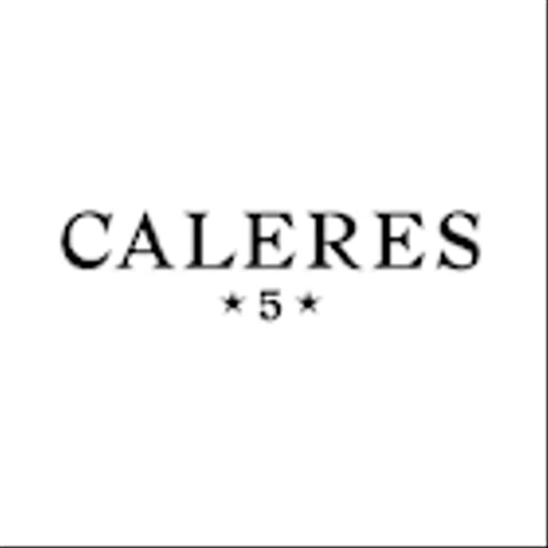 Caleres Inc (CAL) Q4 2024 Earnings Call Highlights: Navigating Challenges with Strategic Initiatives