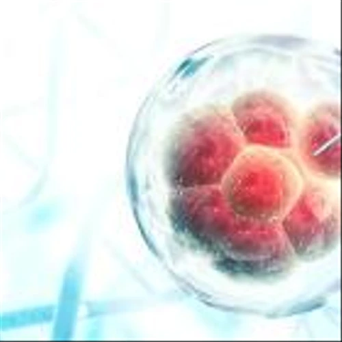FDA priority review advances Atara’s tabelecleucel for viral infection