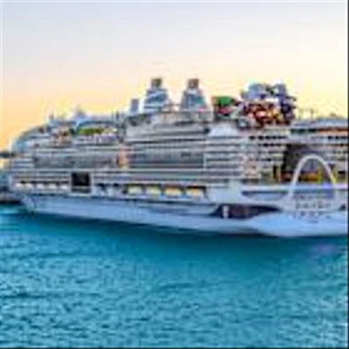 Royal Caribbean chairman talks its COVID resilience, bets on more premium customer experiences