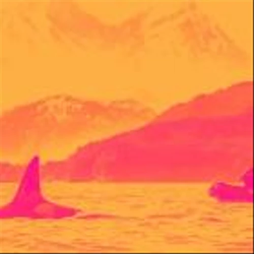 Why Are Lindblad Expeditions (LIND) Shares Soaring Today