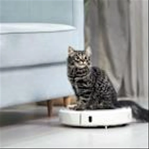 Roomba creator iRobot was once courted by Amazon for a vacuum revolution. Now, it might go out of business